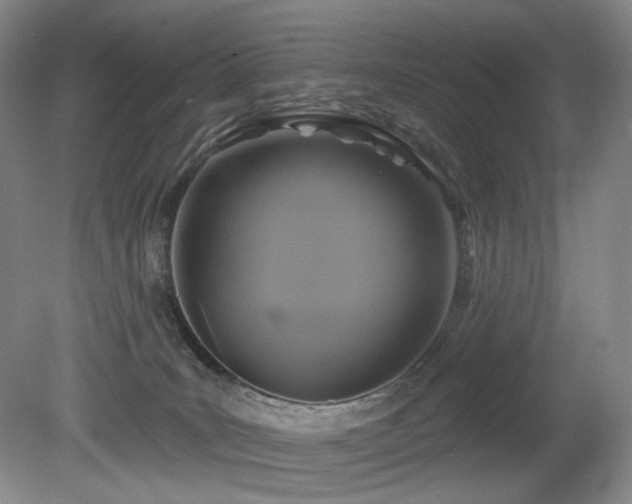 X0000080690035200612151300