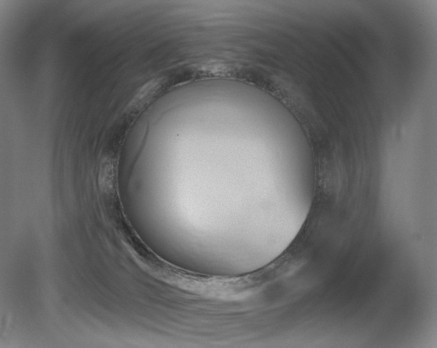 X0000080690036200612151300