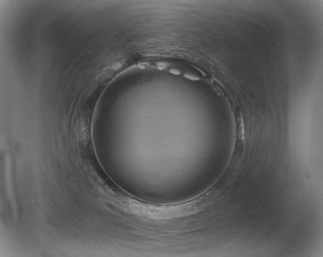 X0000080690039200612151300