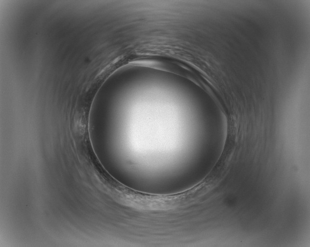 X0000080690040200612151300