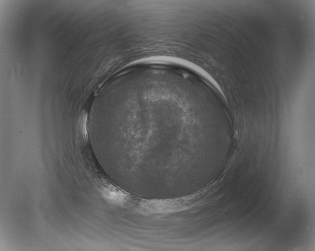 X0000080690041200612151300