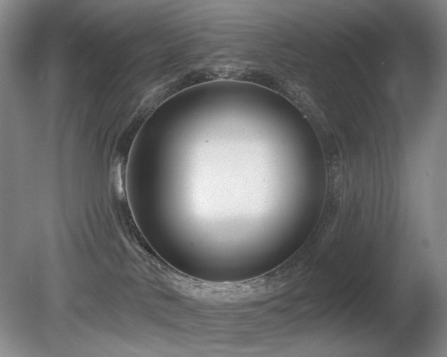 X0000080690042200612151300