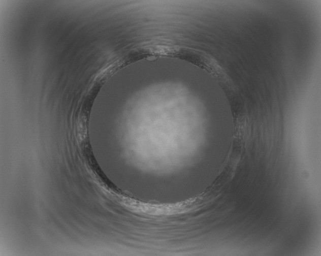 X0000080690043200612151300