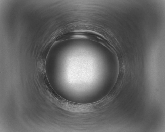 X0000080690044200612151300