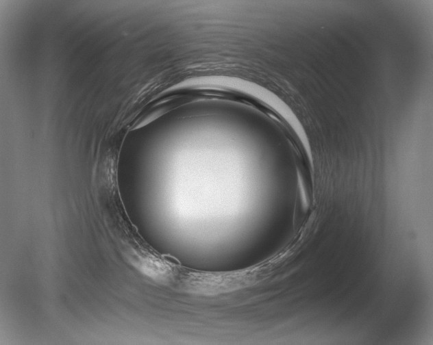 X0000080690045200612151300