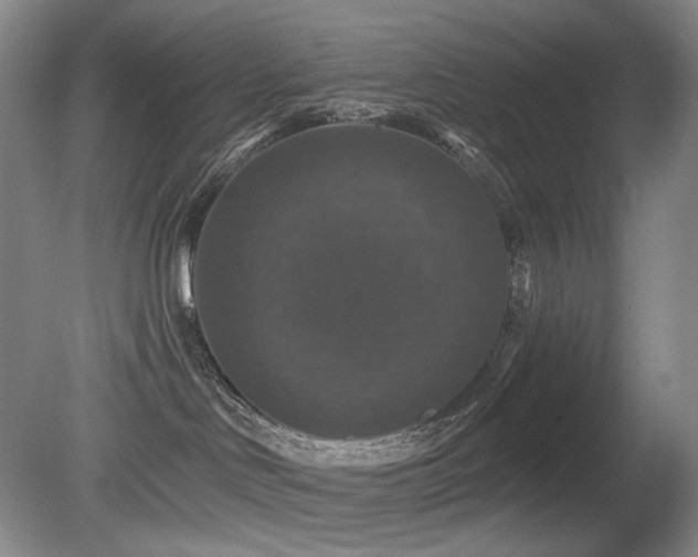 X0000080690046200612151300
