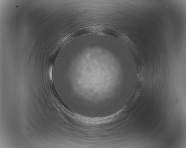 X0000080690047200612151300