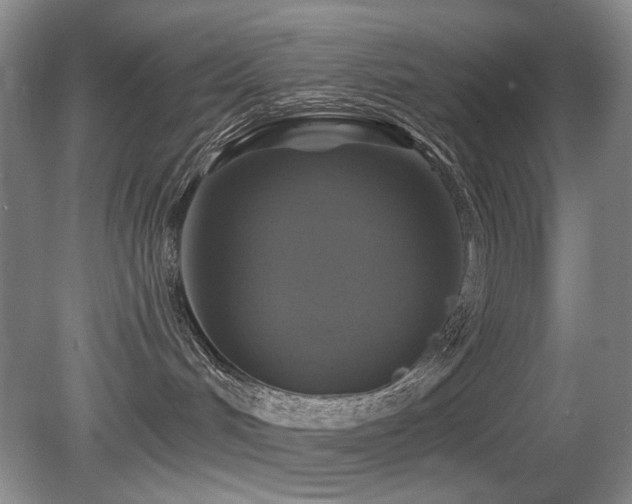 X0000080690048200612151300