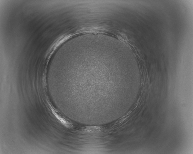 X0000080690050200612151259