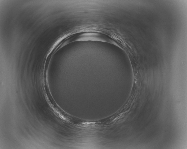 X0000080690052200612151259