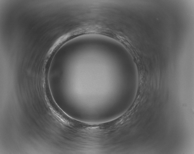 X0000080690054200612151259