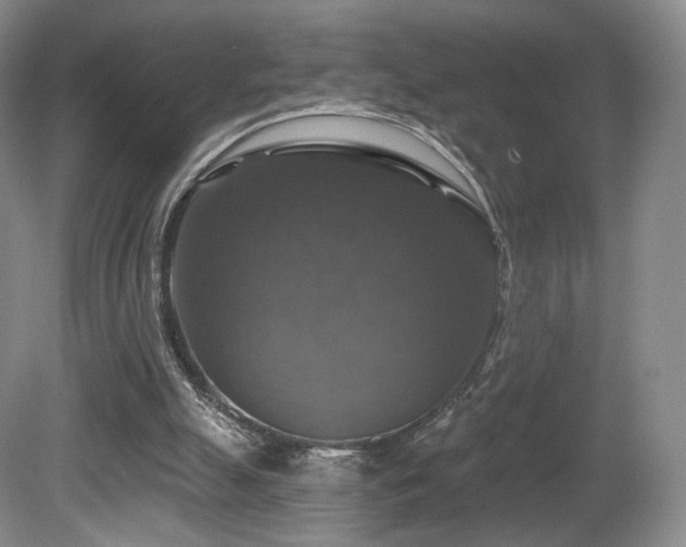 X0000080690055200612151259