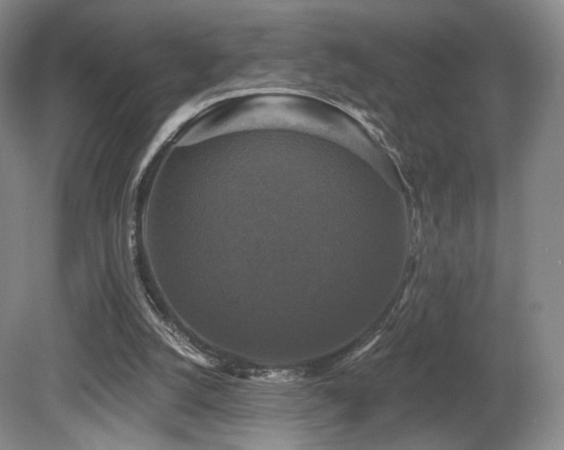 X0000080690056200612151259