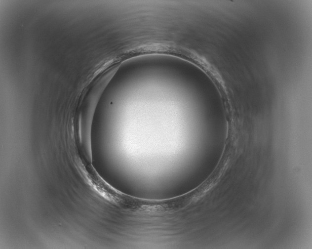 X0000080690057200612151259