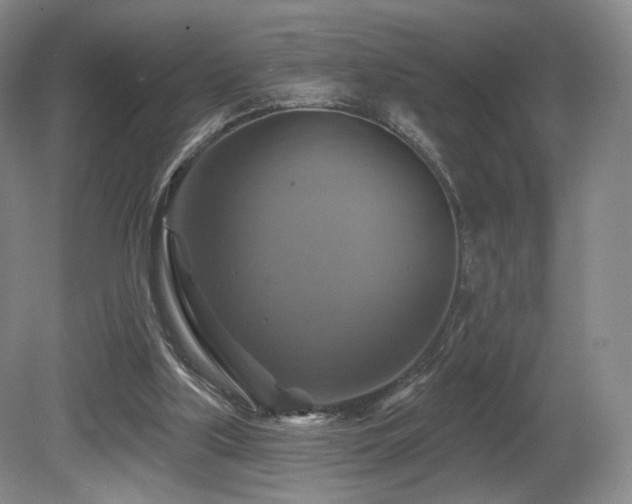 X0000080690059200612151259