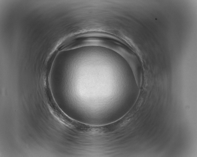 X0000080690060200612151259