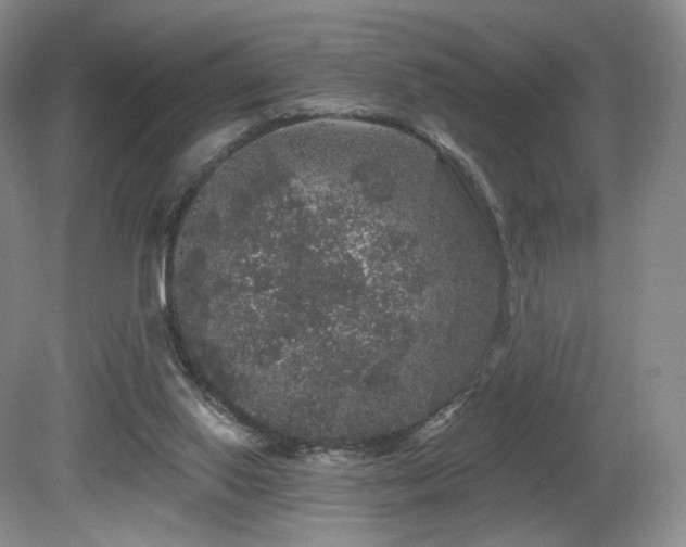 X0000080690062200612151259