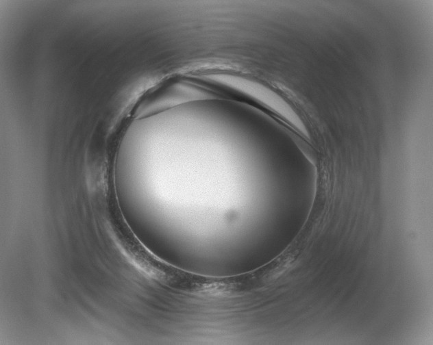 X0000080690064200612151259