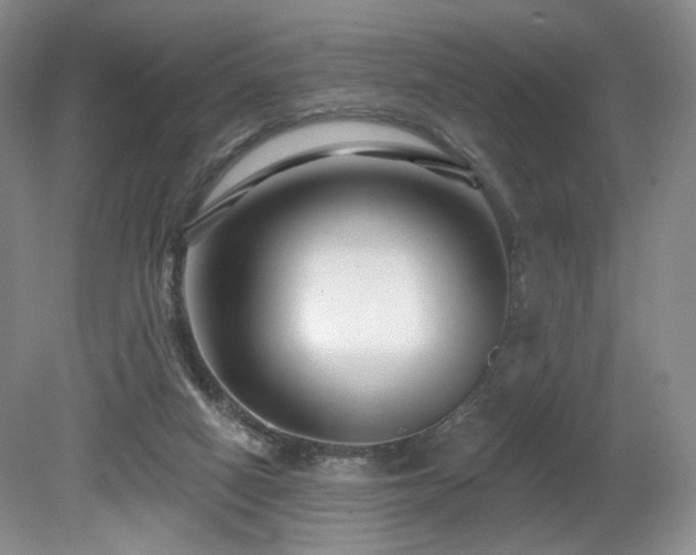 X0000080690066200612151259