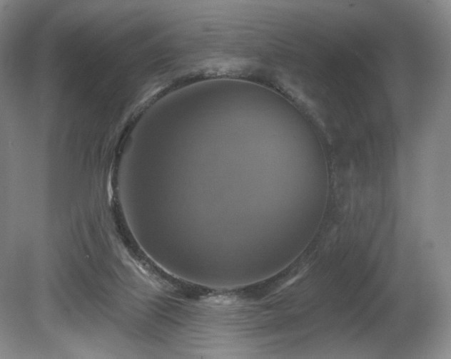 X0000080690067200612151259