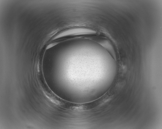 X0000080690068200612151259