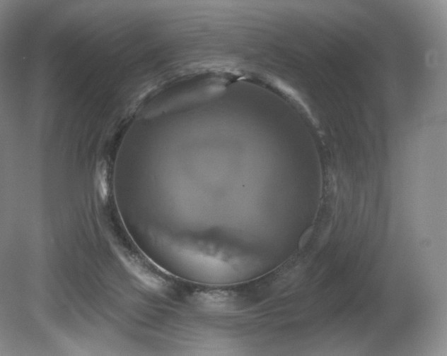 X0000080690069200612151259