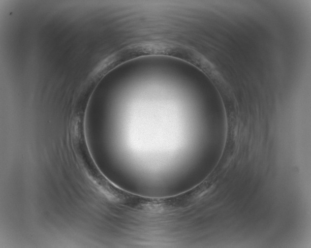 X0000080690071200612151259