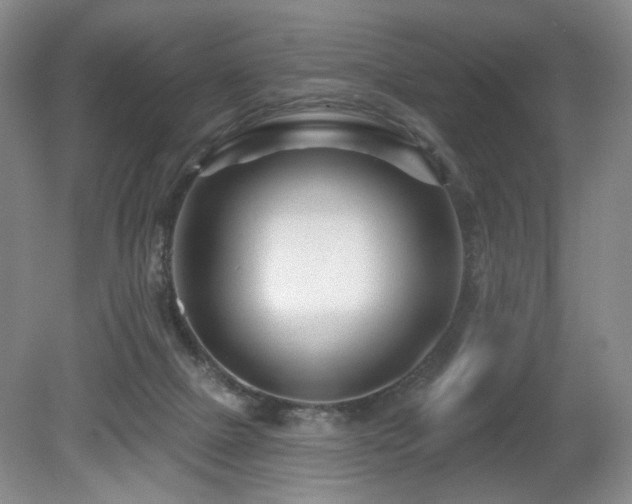 X0000080690073200612151259