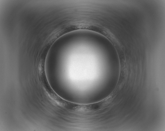 X0000080690074200612151259