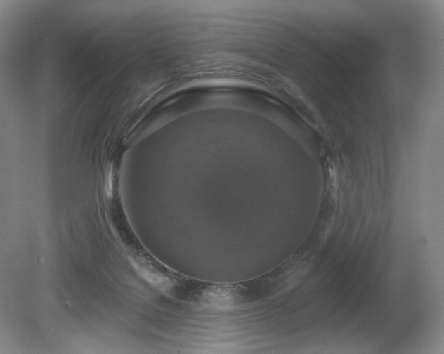 X0000080690076200612151300