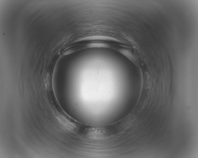 X0000080690077200612151300