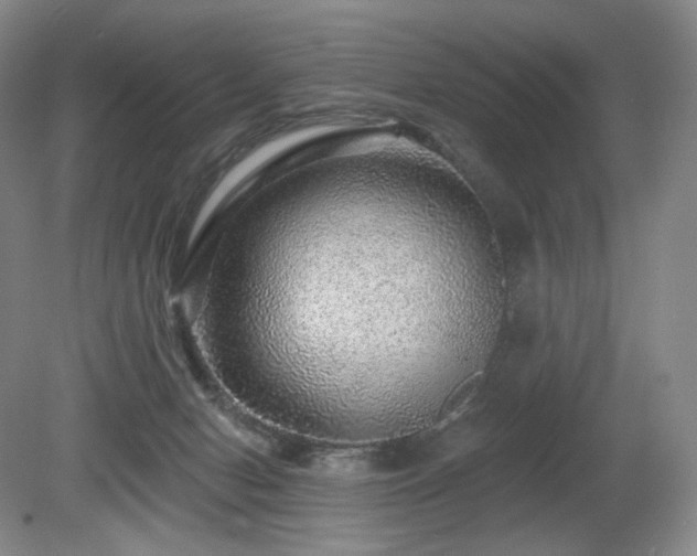 X0000080690078200612151300