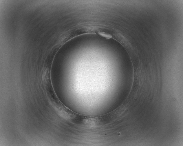 X0000080690079200612151300