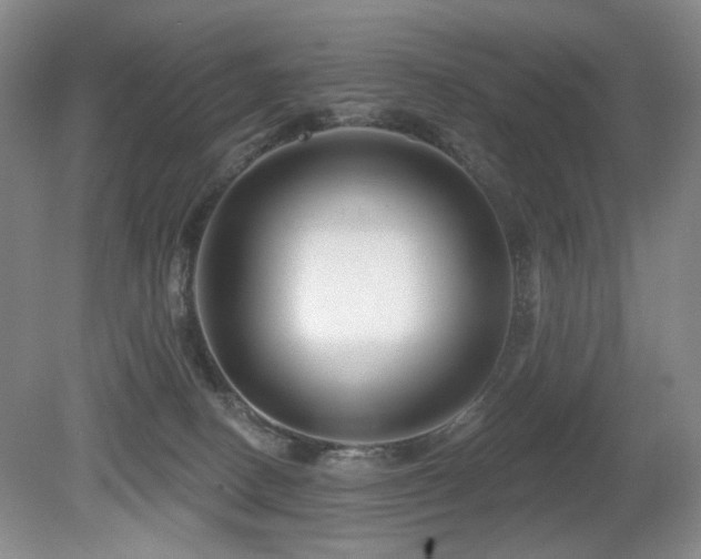 X0000080690082200612151300
