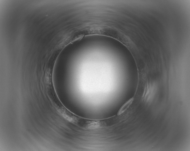 X0000080690083200612151300