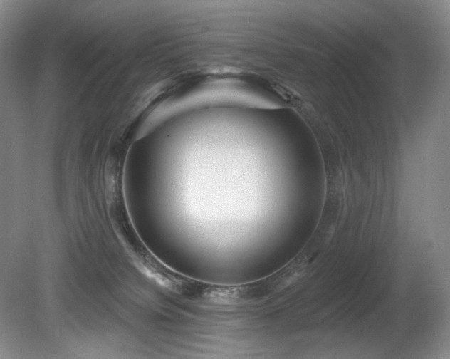 X0000080690084200612151300
