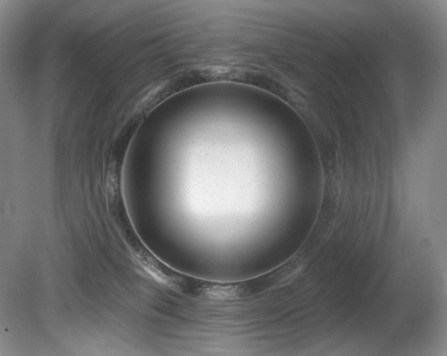 X0000080690085200612151300