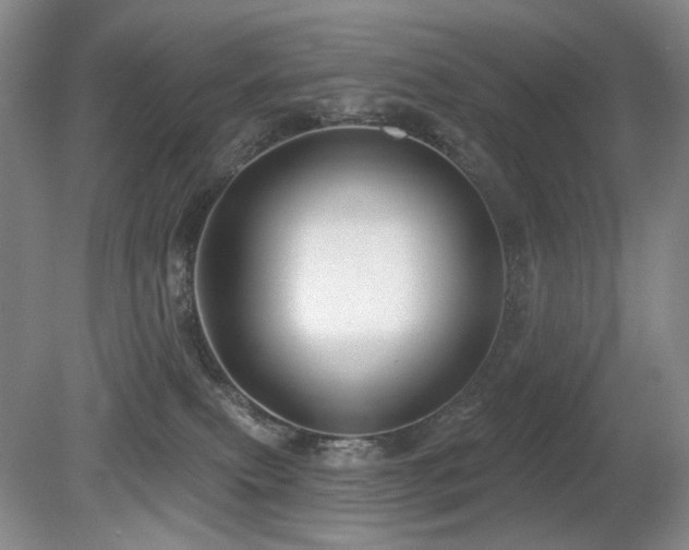 X0000080690087200612151300