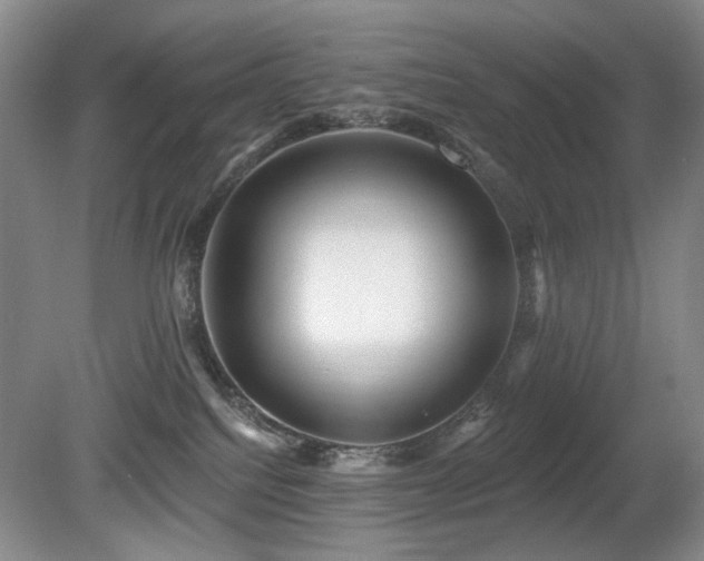X0000080690088200612151300