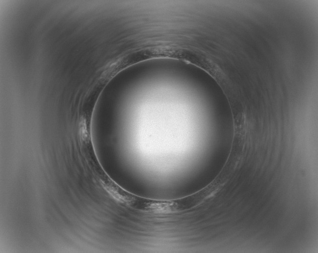 X0000080690089200612151300