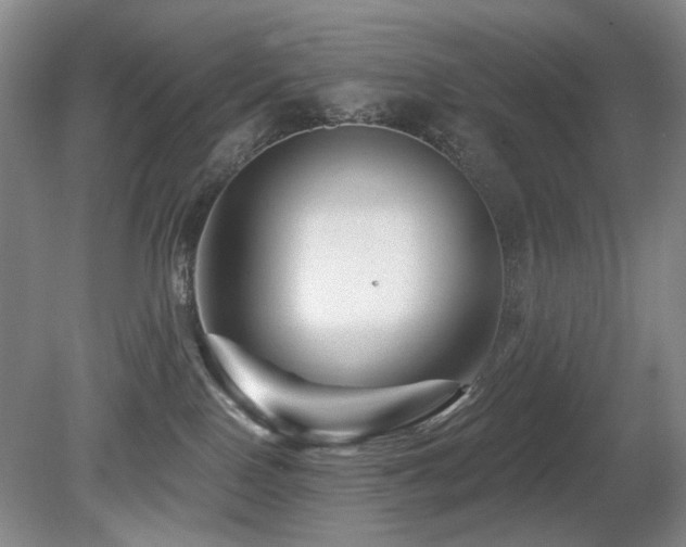 X0000080690090200612151300