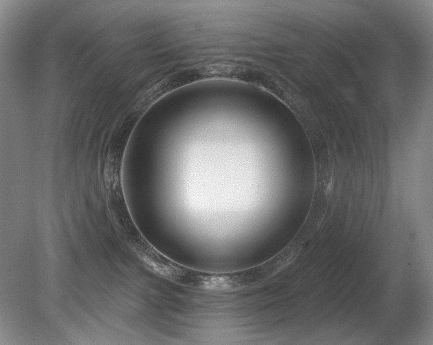 X0000080690091200612151300