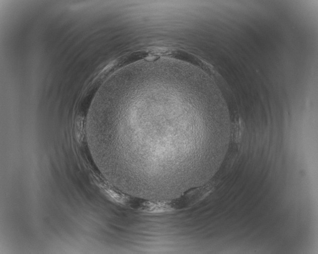 X0000080690093200612151300