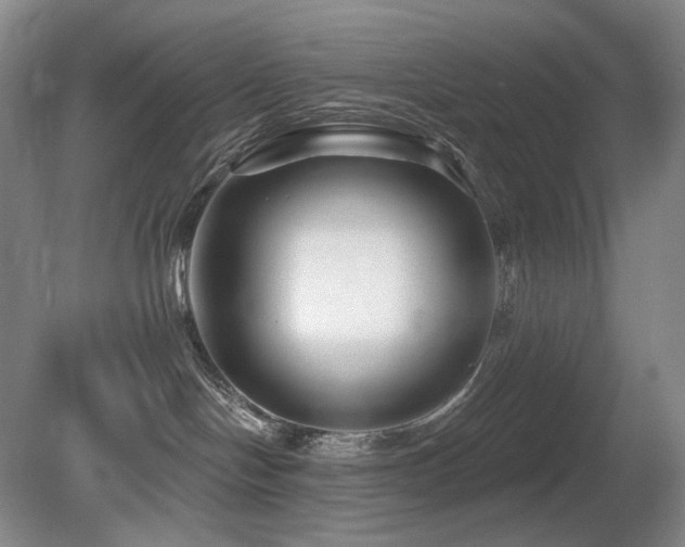 X0000080690094200612151300