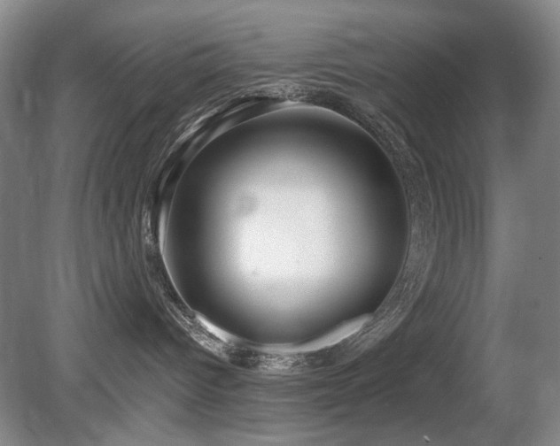 X0000080690096200612151300