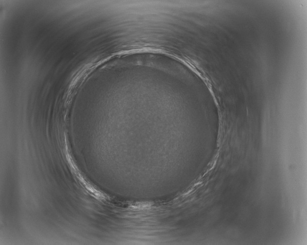 X0000080690097200612151259