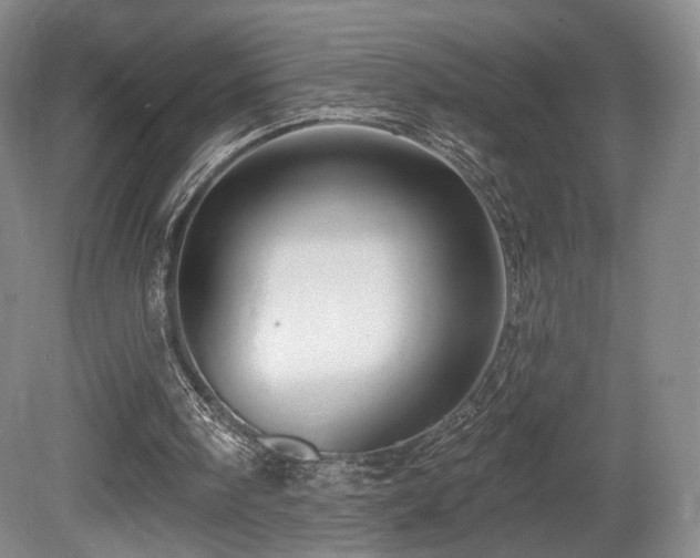 X0000080690098200612151259