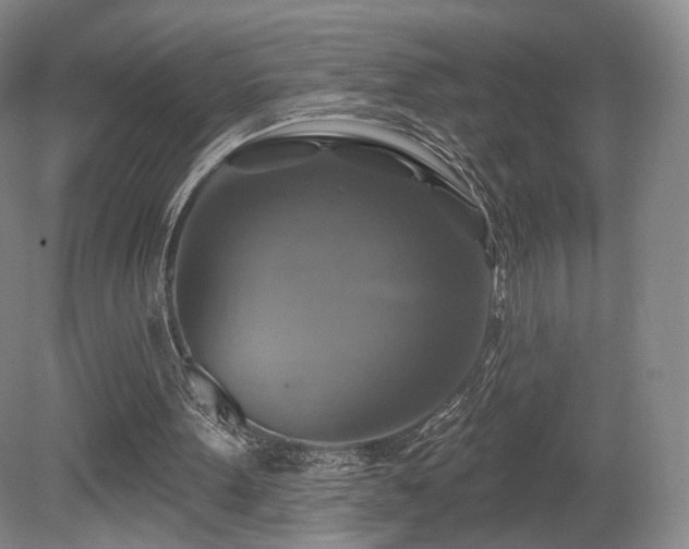 X0000080690099200612151259