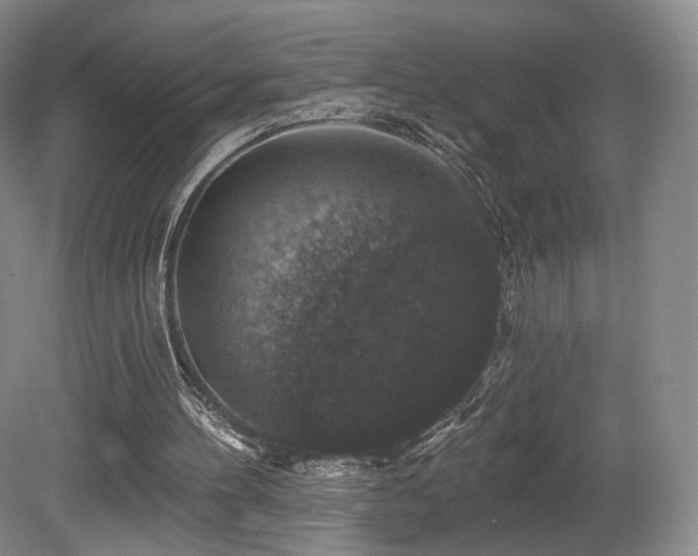 X0000080690100200612151259
