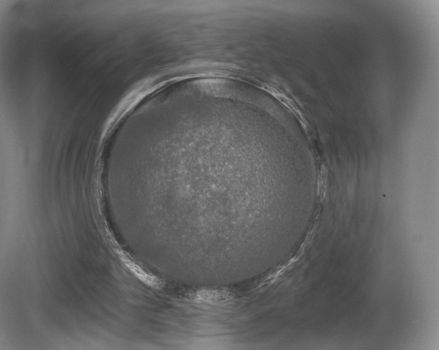 X0000080690101200612151259